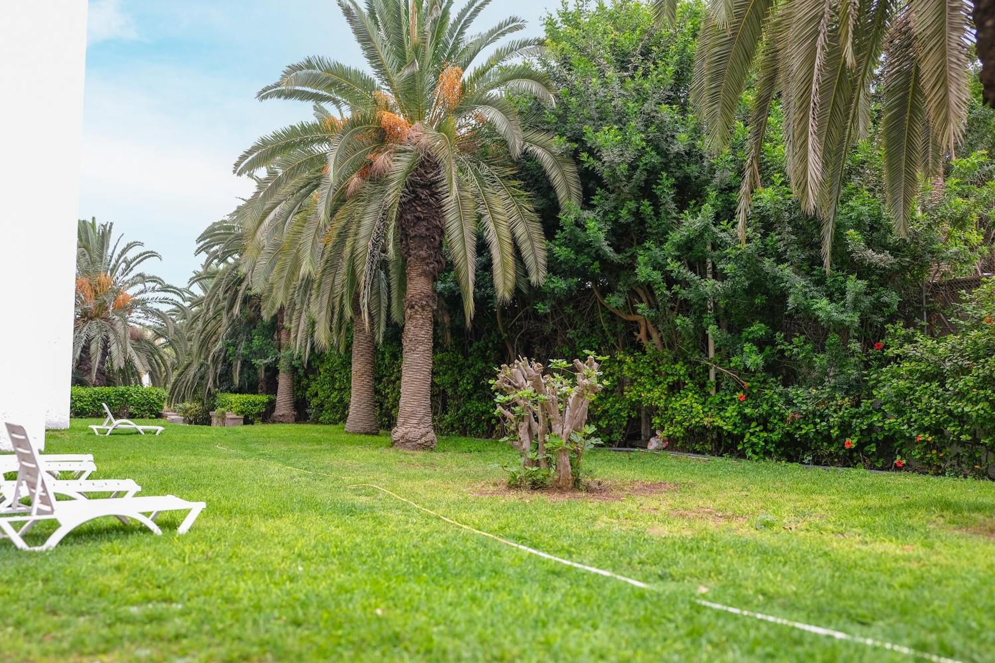 Hamilton Agadir Hotel Ngoại thất bức ảnh